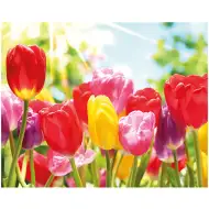 Diamant-Malerei: Tulpen Diamantmalerei-Set 40x50 cm
