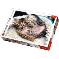 Fröhliches Kätzchen 1000-teiliges Premium-Puzzle - Trefl