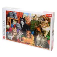 Katzentreffen 1000-teilige Puzzle - Trefl