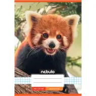 Nebulo: Geheftetes kariertes Heft mit rotem Panda-Muster 27-32 A/5
