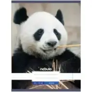 Nebulo: Panda glattes Heft A4 80-32