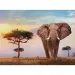 Afrikanischer Sonnenuntergang HQC Puzzle 500 Teile - Clementoni