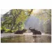 Animal Planet: Elefanten im See 1000-teiliges Puzzle