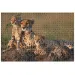 Animal Planet: Gepardenfamilie 1000-teiliges Puzzle