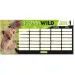 Ars Una: Bence Máté Icons of the Wild – Löwen, einseitiger, zweiseitiger Stundenplan