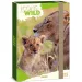 Ars Una: Icons of the Wild Löwen A4 Heftbox