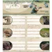 Ars Una: The Eye of the Wild 2 verpackte Heftetiketten 3x6 Stück