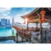 Chongqing, China 1000-teilige Puzzle - Trefl