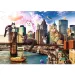 Crazy City: Katzen in New York 1000-teilige Puzzle - Trefl