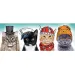 Das flauschige Team Panorama Puzzle 500 Teile - Trefl