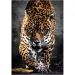 Der Spaziergang des Jaguars HQC 1000-teiliges Puzzle - Clementoni