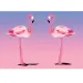 Diamantmalerei-Set: Flamingos 10x15cm