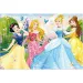 Disney Prinzessinnen 2-in-1 Puzzle mit 60 Teilen und Malbuch 50x35cm – Lisciani