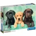 Drei kleine Labradore 1000-teilige HQC Puzzle-Poster - Clementoni