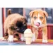 Eis essende Welpen 500-teiliges Premium-Puzzle - Trefl