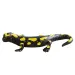 Feuersalamander-Spielzeugfigur