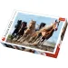 Galoppierende Pferde 1000-teiliges Premium-Puzzle - Trefl