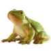 Grüne Laubfrosch Spielfigur - Bullyland