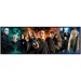 Harry Potter - Die Krieger der Zauberwelt 1000-teilige Panorama-Puzzle mit Poster - Clementoni