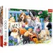 Hunde im Park 1000-teilige Puzzle - Trefl