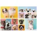 Hundefreundschaft 160-teiliges Puzzle - Trefl