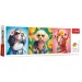 Hundemodenschau Panorama Puzzle 500 Teile - Trefl
