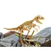 Ich bin ein Genie: Tyrannosaurus Rex Dinosaurier Ausgrabungsset mit Werkzeugen