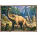 Interessante Dinosaurier 4-in-1 Puzzle - Trefl