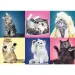 Katzen 500-teiliges Puzzle - Trefl