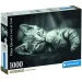 Kitty Katze HQC 1000-teiliges Puzzle - Clementoni