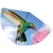 Kolibri-Drachenflieger