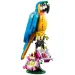 LEGO® Creator: Exotischer Papagei 3-in-1 (31136)