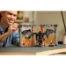 LEGO® Icons: Bücherwinkel: Der Herr der Ringe: Balrog™ (10367)
