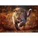 Leopard Premium Plus 1000-teiliges Puzzle - Trefl