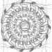 Mandala und Malbücher - Wildtiere