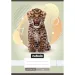 Nebulo: Geheftetes, glattes Heft A5 20-32 Tiere - Leopard