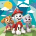 Paw Patrol Super Color 3-in-1 Puzzle - Clementoni