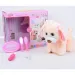 RC Cute Pet: Ferngesteuerter Pomeranian-Hund mit Zubehör 2,4 GHz