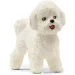 Schleich: Bichon Frisé Hundefigur (13963)