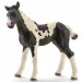 Schleich: Pinto Fohlen Figur (13803)