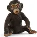 Schleich: Schimpansenjunges Figur (14884)