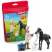Schleich: Spielset Fohlenpflege (42755)