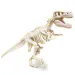 Science &amp; Play: T-Rex fluoreszierendes archäologisches Set - Clementoni