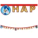 Sonic-Party-Banner