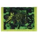 Spirit: Triceratops LED, 3D-Muster Schultasche, Rucksack 5-teiliges Set