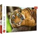 Tiger-Porträt 500-teiliges Puzzle - Trefl