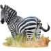 WOW Zebra-Puzzle 1000-teilig