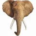 WOW riesiges Elefantenpuzzle 700 Teile