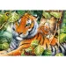 Zwei Tiger 1500-teilige Puzzle - Trefl